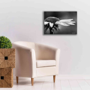 'Coneflower' by Lori Deiter, Canvas Wall Art,26 x 18