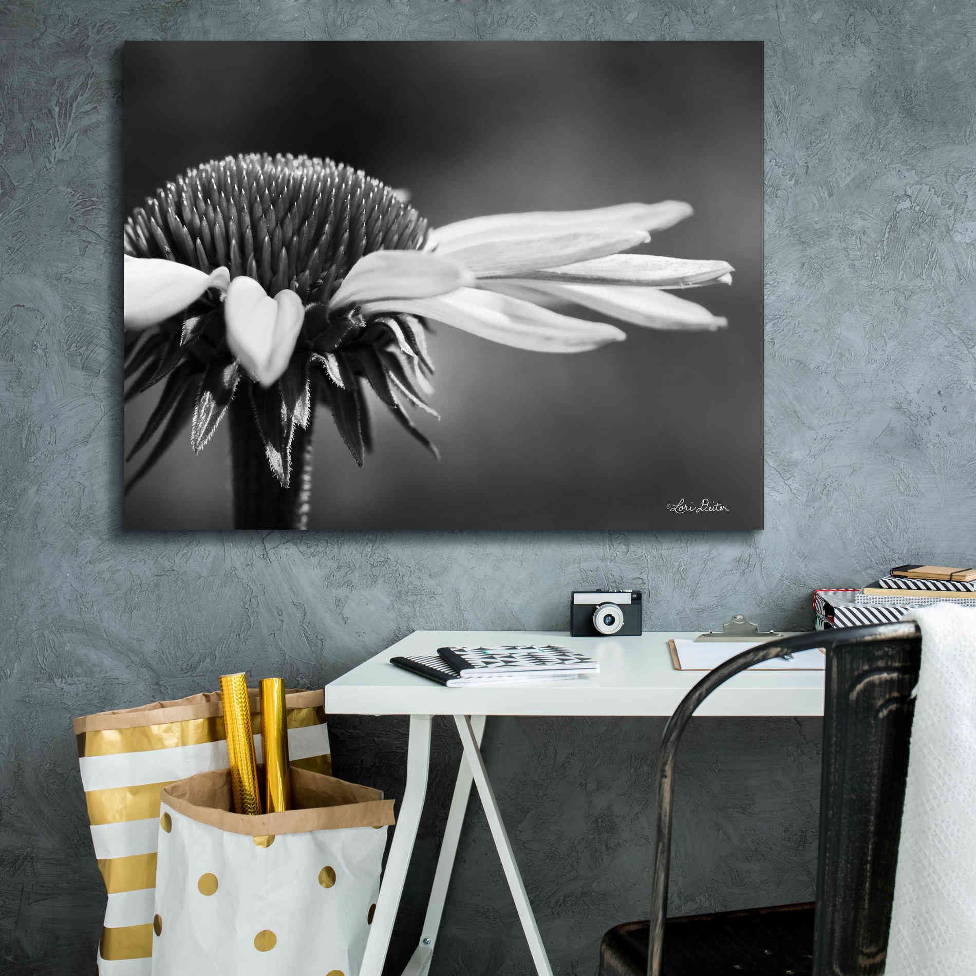 'Coneflower' by Lori Deiter, Canvas Wall Art,34 x 26