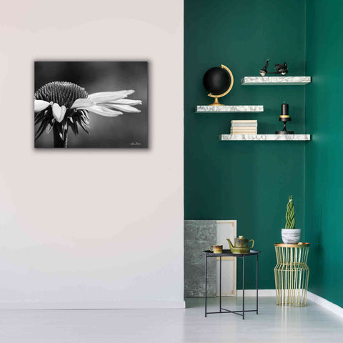 Image of 'Coneflower' by Lori Deiter, Canvas Wall Art,34 x 26