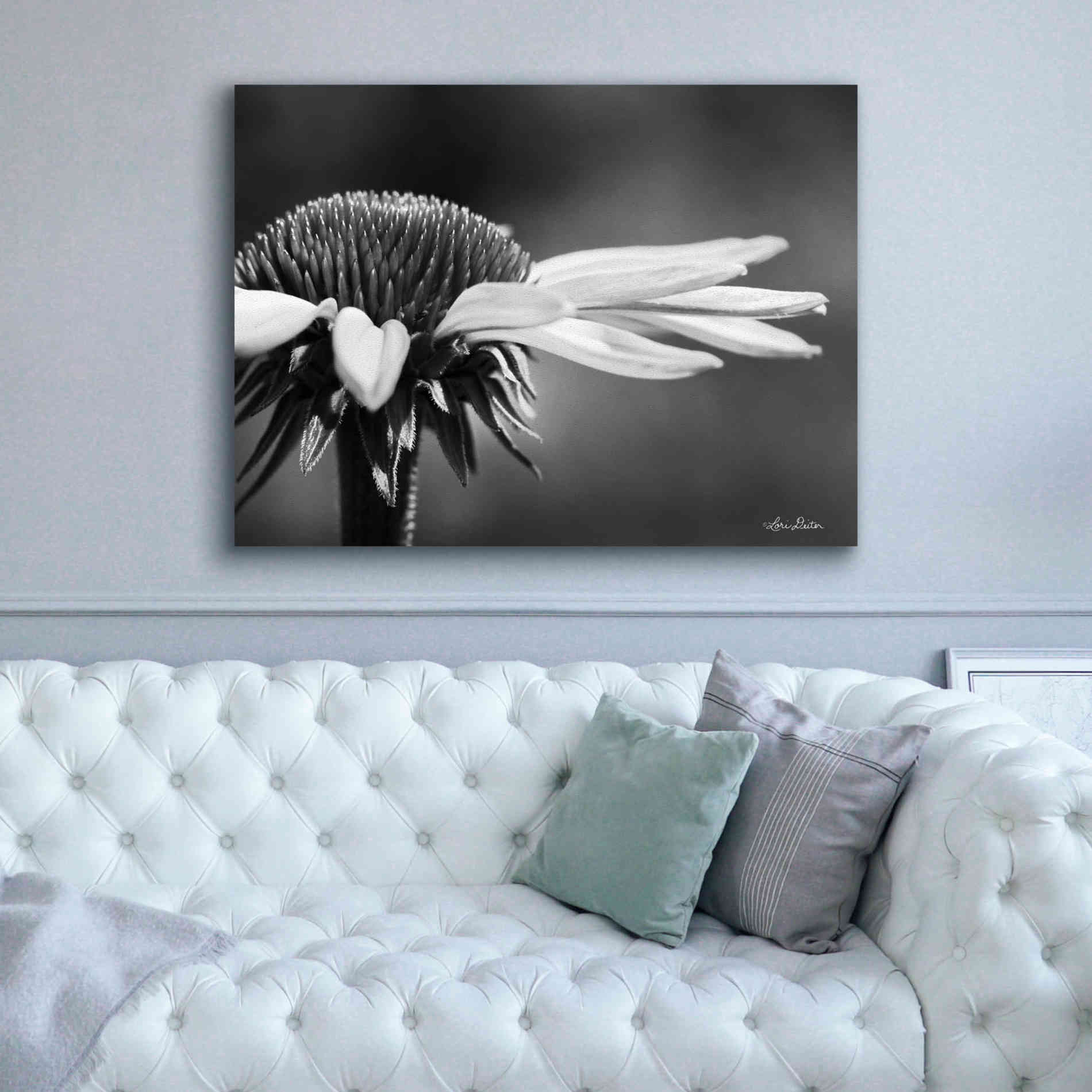 'Coneflower' by Lori Deiter, Canvas Wall Art,54 x 40