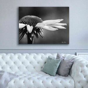 'Coneflower' by Lori Deiter, Canvas Wall Art,54 x 40