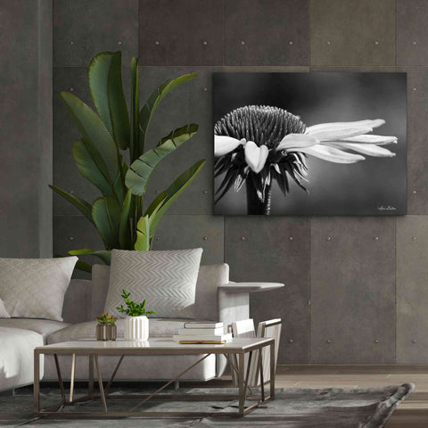 Image of 'Coneflower' by Lori Deiter, Canvas Wall Art,54 x 40