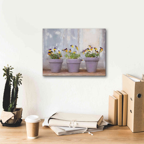 Image of 'Pansy Still Life I' by Lori Deiter, Canvas Wall Art,16 x 12