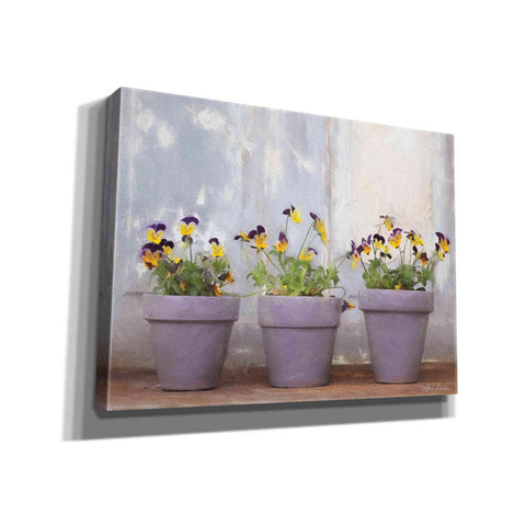 Image of 'Pansy Still Life I' by Lori Deiter, Canvas Wall Art