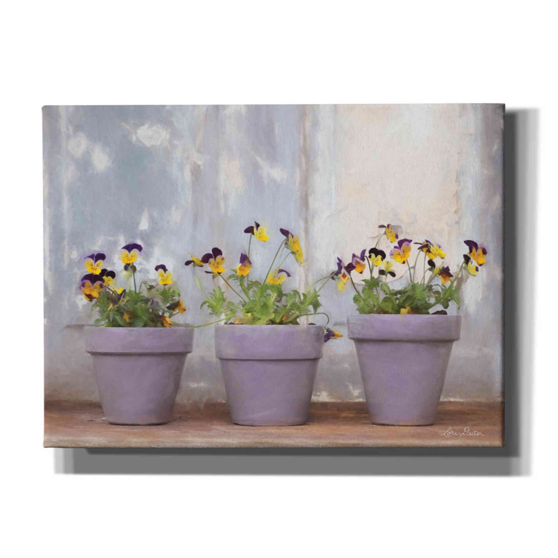 'Pansy Still Life I' by Lori Deiter, Canvas Wall Art