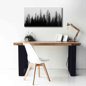 'Rocky's Trees' by Lori Deiter, Canvas Wall Art,40 x 20