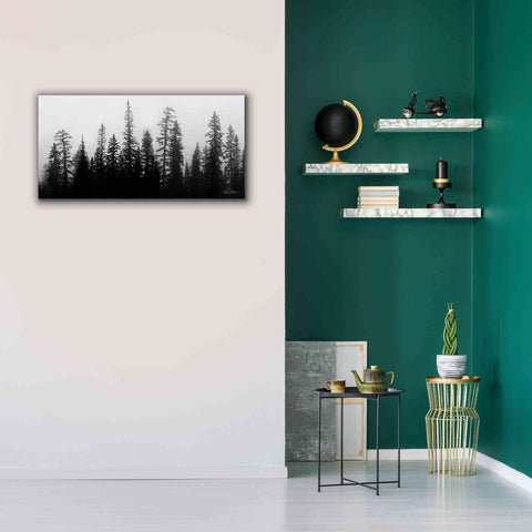 Image of 'Rocky's Trees' by Lori Deiter, Canvas Wall Art,40 x 20