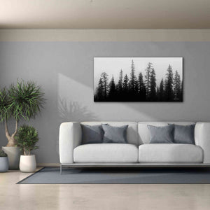 'Rocky's Trees' by Lori Deiter, Canvas Wall Art,60 x 30