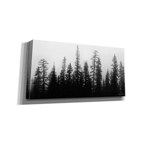 Image of 'Rocky's Trees' by Lori Deiter, Canvas Wall Art