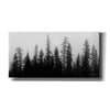 'Rocky's Trees' by Lori Deiter, Canvas Wall Art