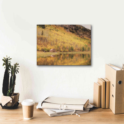 Image of 'San Juan Cabin' by Lori Deiter, Canvas Wall Art,16 x 12