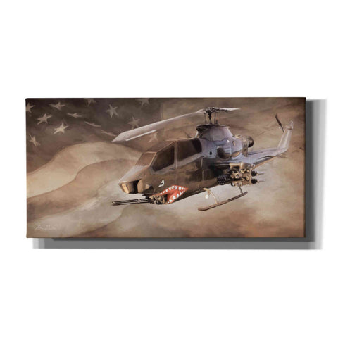 Image of 'Freedom Fighter' by Lori Deiter, Canvas Wall Art