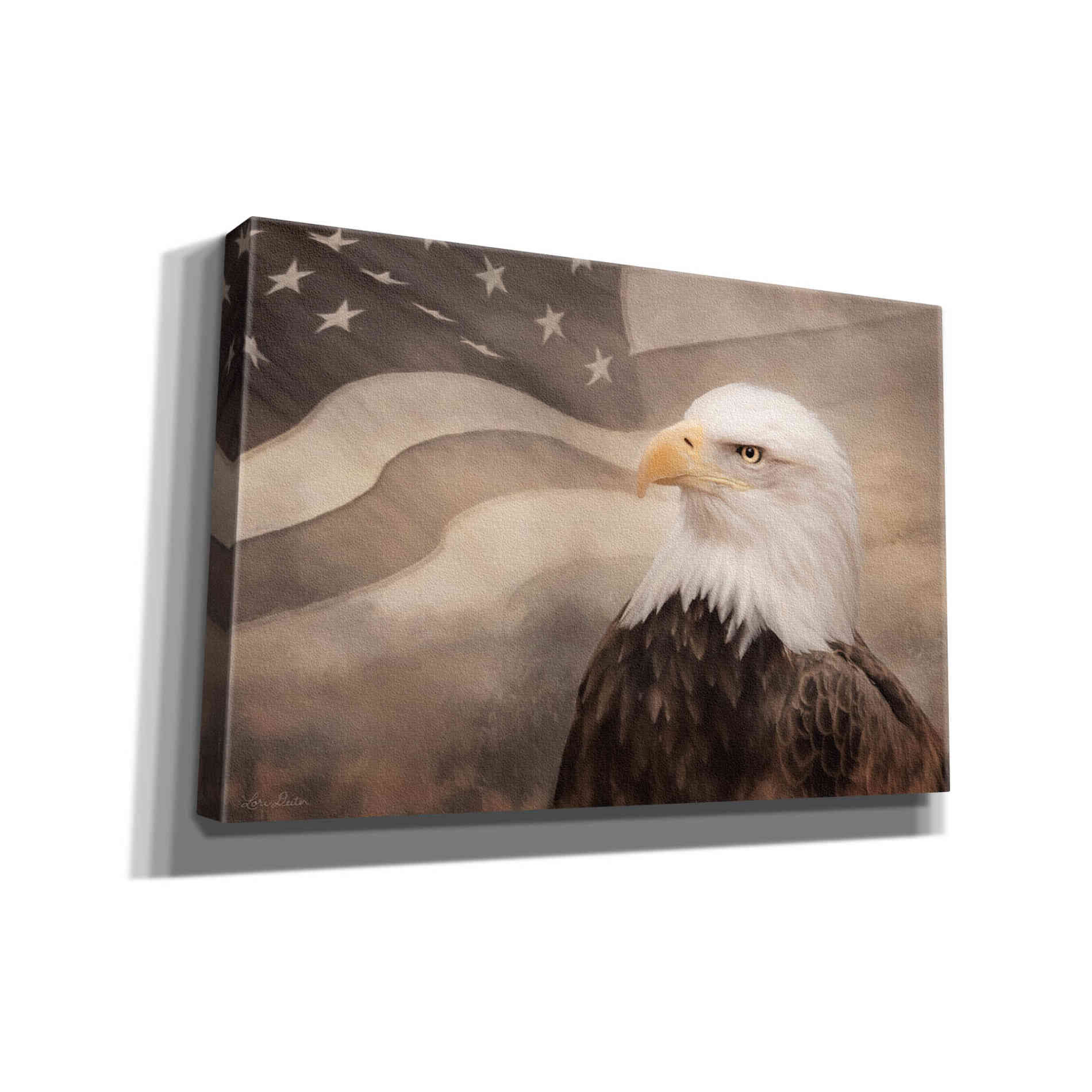 'US Symbols' by Lori Deiter, Canvas Wall Art