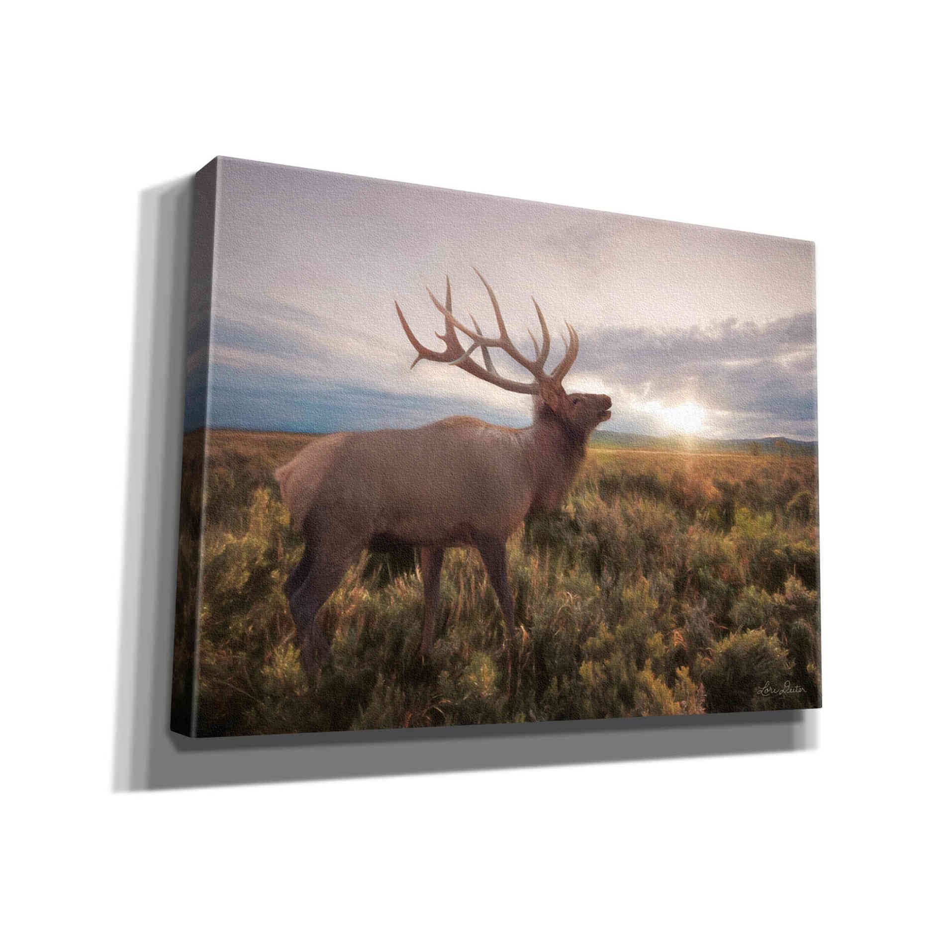 'Jackson Sunrise with Elk' by Lori Deiter, Canvas Wall Art