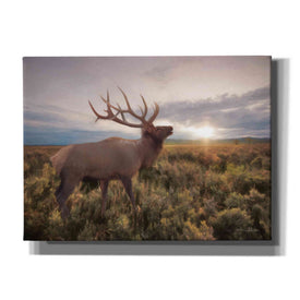 'Jackson Sunrise with Elk' by Lori Deiter, Canvas Wall Art
