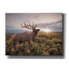'Jackson Sunrise with Elk' by Lori Deiter, Canvas Wall Art