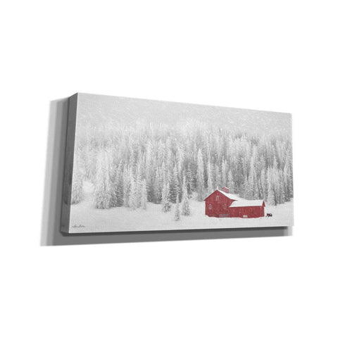 Image of 'Old Wyoming Barn' by Lori Deiter, Canvas Wall Art