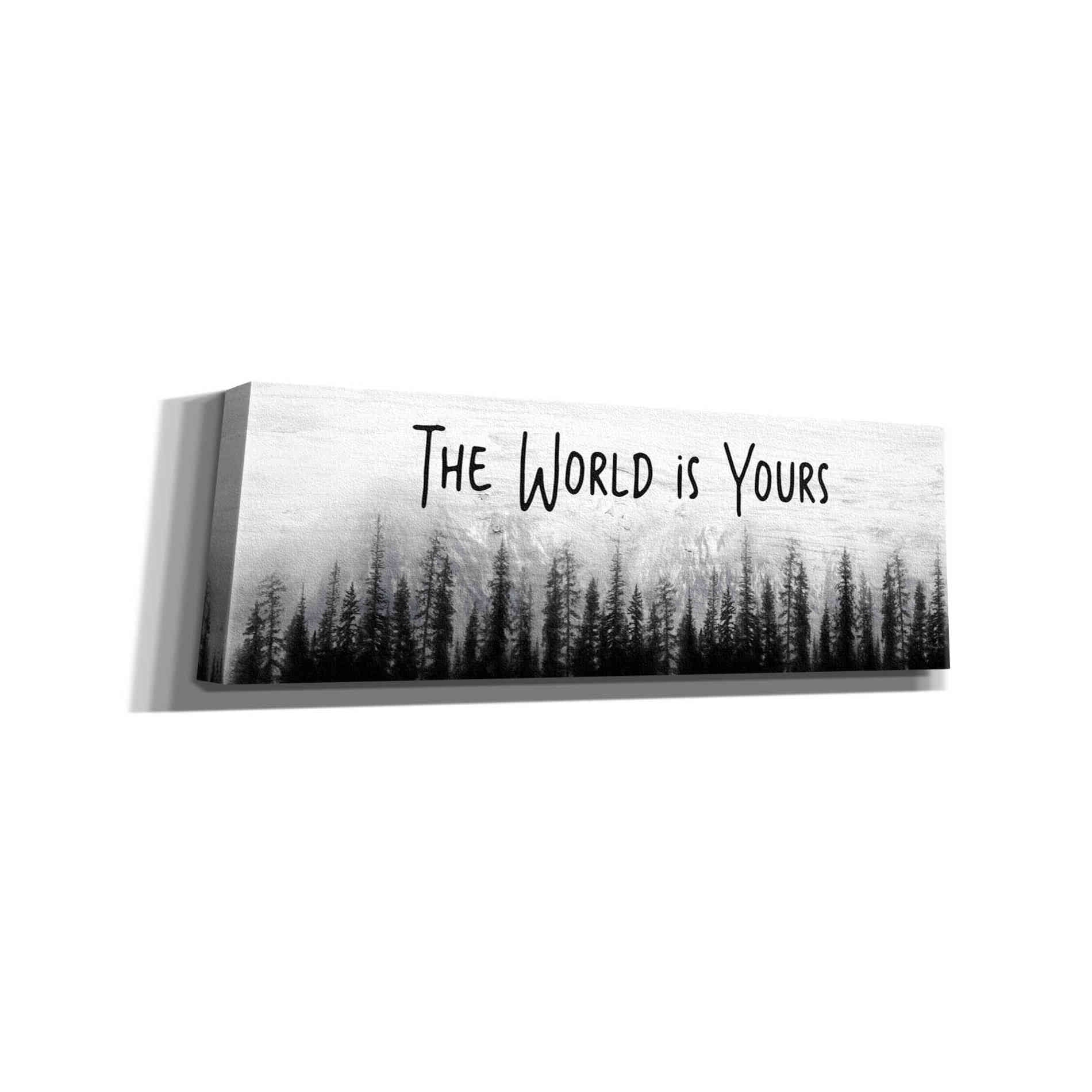 'The World is Yours' by Lori Deiter, Canvas Wall Art