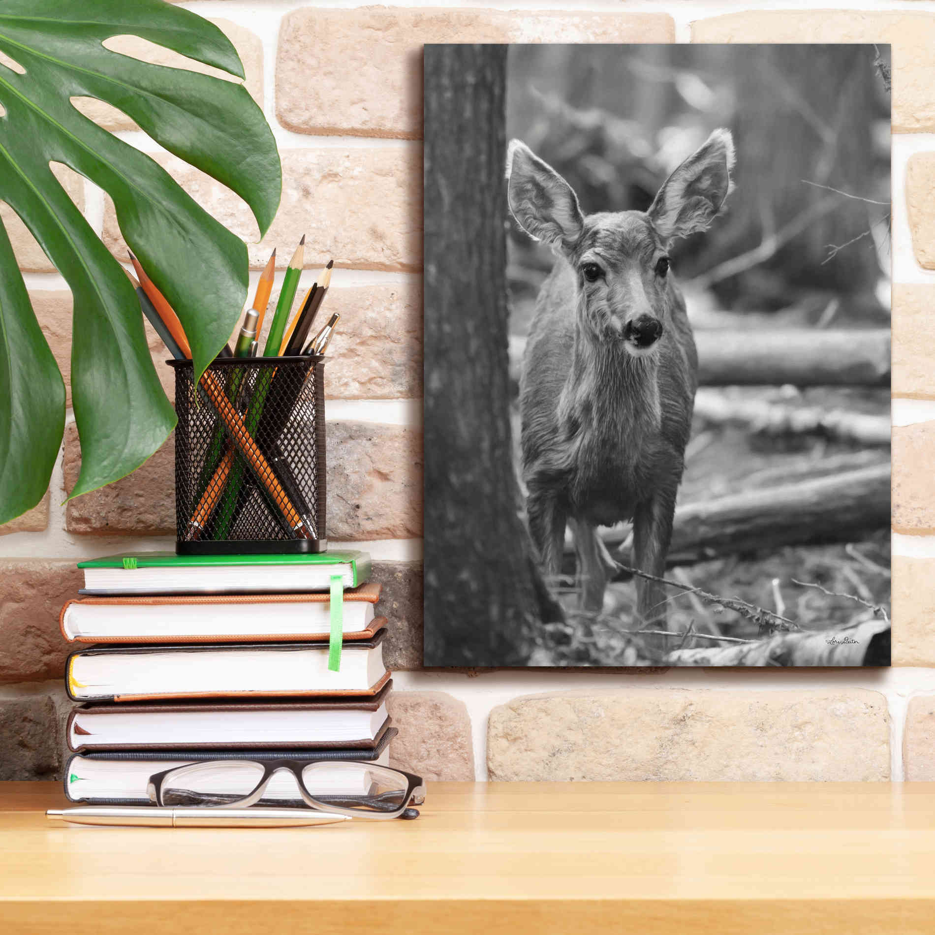 'Rocky Mountains Deer' by Lori Deiter, Canvas Wall Art,12 x 16