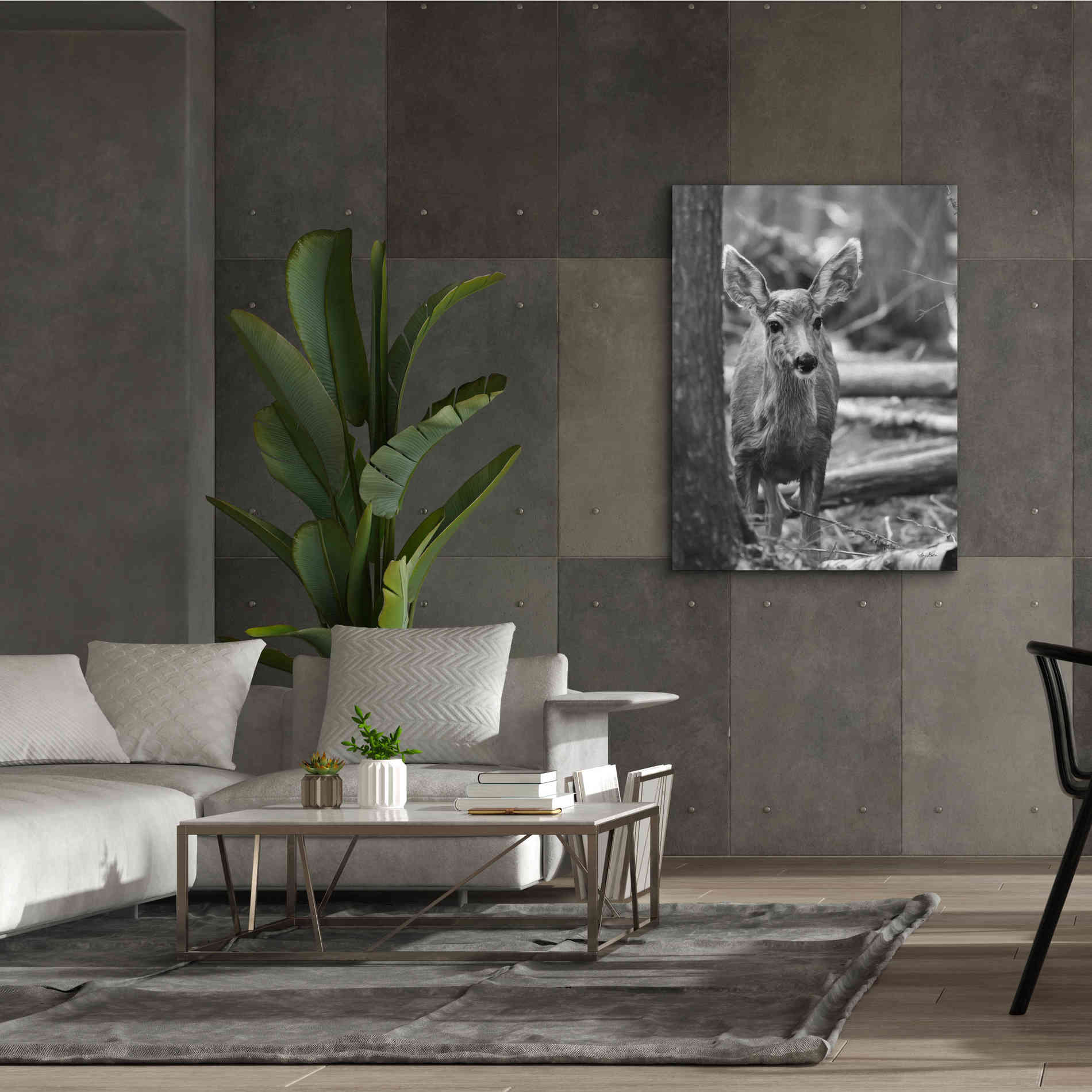 'Rocky Mountains Deer' by Lori Deiter, Canvas Wall Art,40 x 54