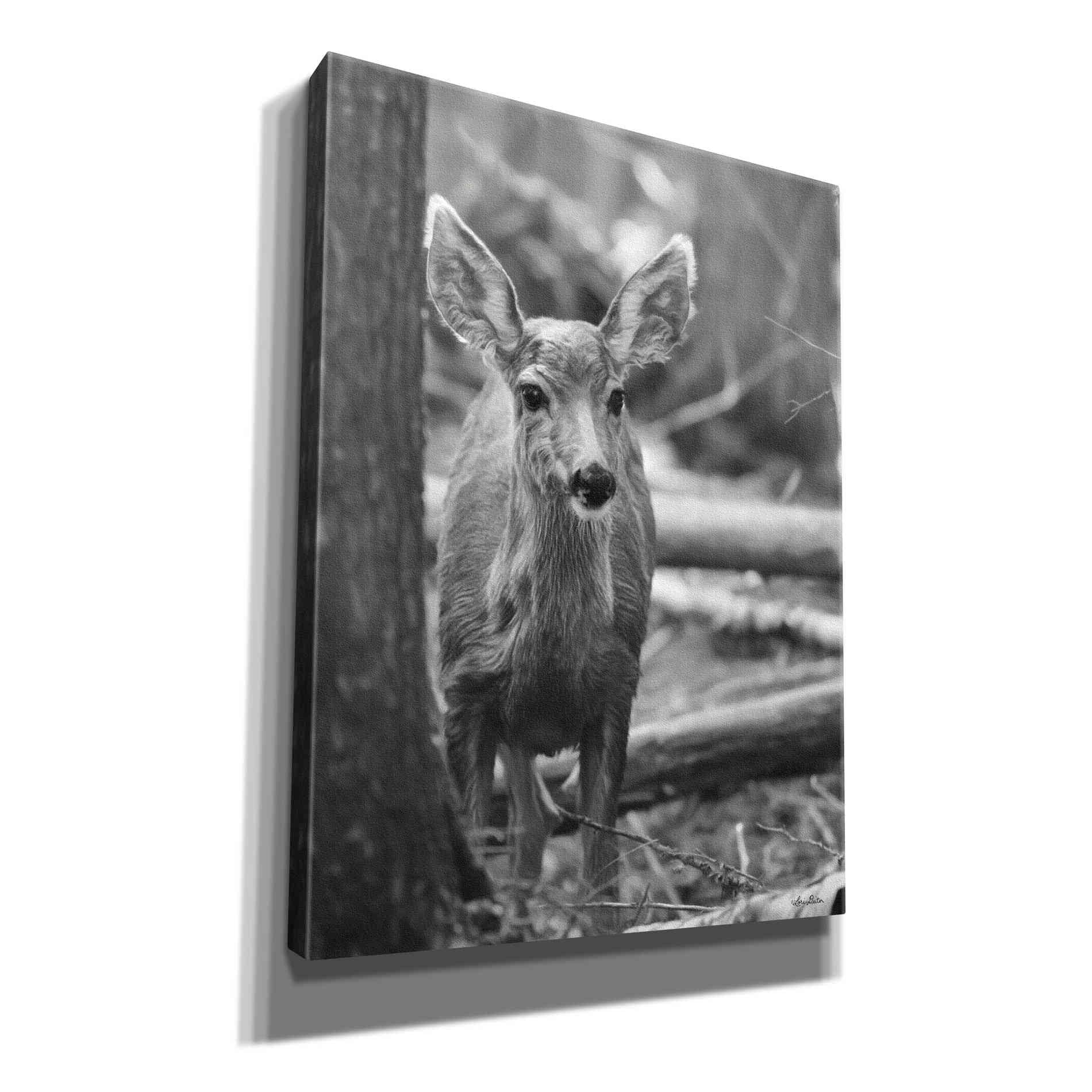 'Rocky Mountains Deer' by Lori Deiter, Canvas Wall Art