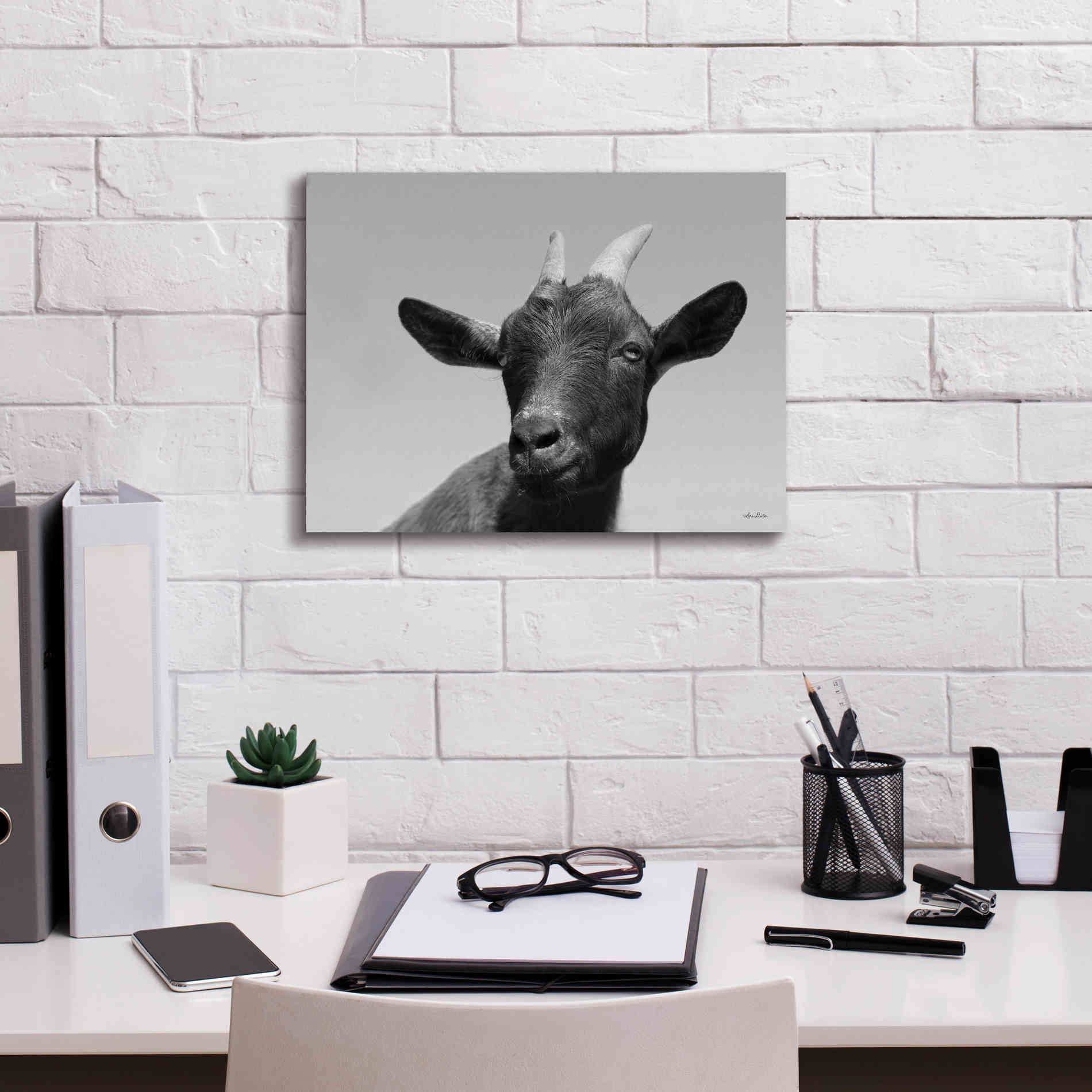 'Lake Tobias Goat I' by Lori Deiter, Canvas Wall Art,16 x 12