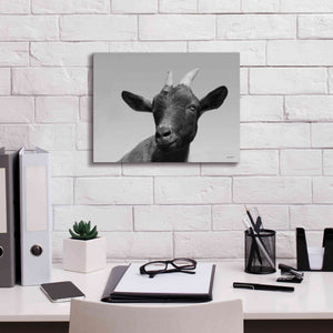 'Lake Tobias Goat I' by Lori Deiter, Canvas Wall Art,16 x 12
