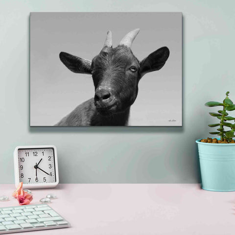 Image of 'Lake Tobias Goat I' by Lori Deiter, Canvas Wall Art,16 x 12