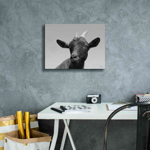 'Lake Tobias Goat I' by Lori Deiter, Canvas Wall Art,16 x 12