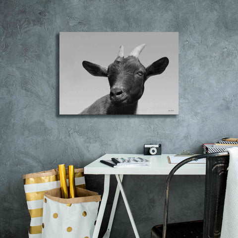 Image of 'Lake Tobias Goat I' by Lori Deiter, Canvas Wall Art,26 x 18