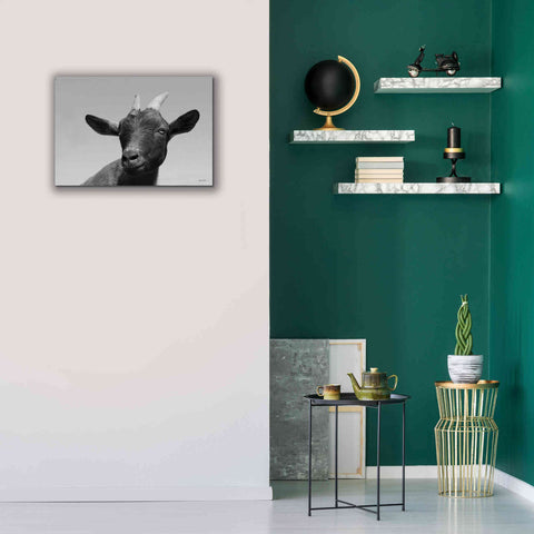 Image of 'Lake Tobias Goat I' by Lori Deiter, Canvas Wall Art,26 x 18