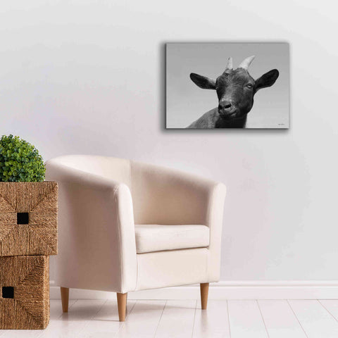Image of 'Lake Tobias Goat I' by Lori Deiter, Canvas Wall Art,26 x 18