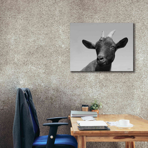 Image of 'Lake Tobias Goat I' by Lori Deiter, Canvas Wall Art,34 x 26