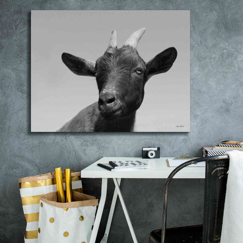 Image of 'Lake Tobias Goat I' by Lori Deiter, Canvas Wall Art,34 x 26