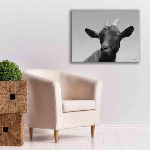 Image of 'Lake Tobias Goat I' by Lori Deiter, Canvas Wall Art,34 x 26
