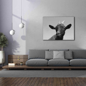 'Lake Tobias Goat I' by Lori Deiter, Canvas Wall Art,54 x 40