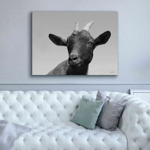 Image of 'Lake Tobias Goat I' by Lori Deiter, Canvas Wall Art,54 x 40