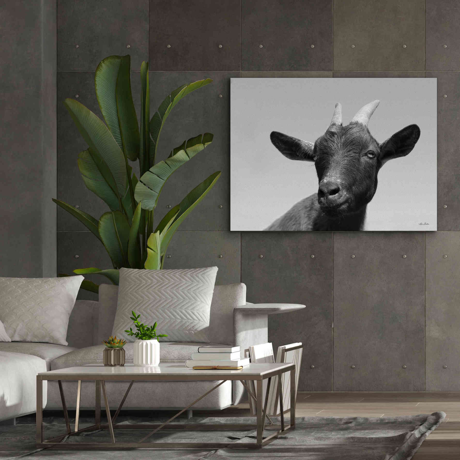 'Lake Tobias Goat I' by Lori Deiter, Canvas Wall Art,54 x 40