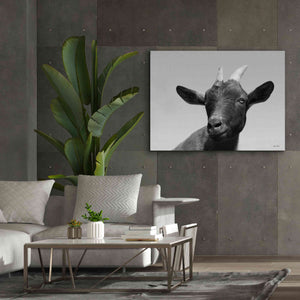 'Lake Tobias Goat I' by Lori Deiter, Canvas Wall Art,54 x 40