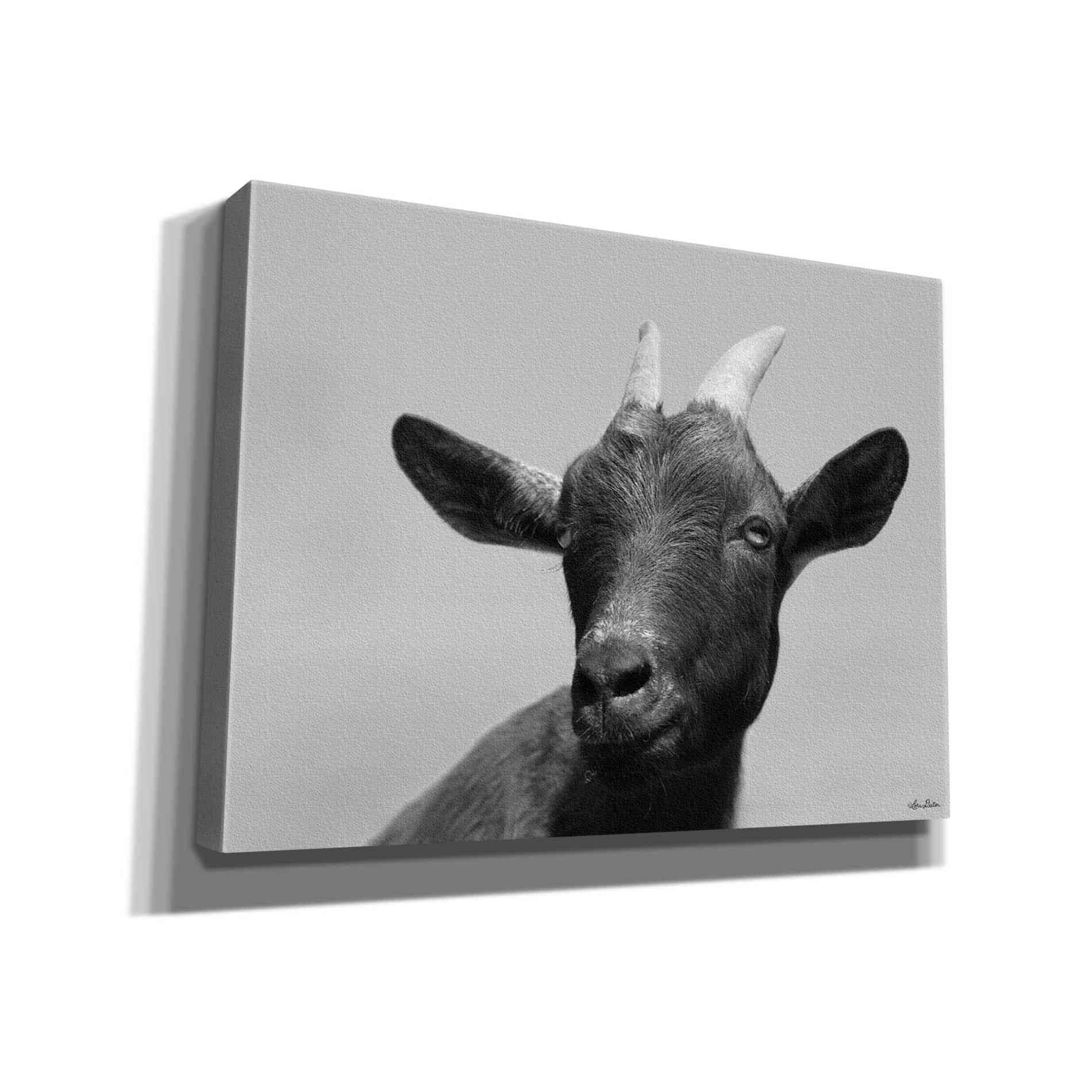 'Lake Tobias Goat I' by Lori Deiter, Canvas Wall Art