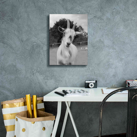 Image of 'Lake Tobias Goat II' by Lori Deiter, Canvas Wall Art,12 x 16