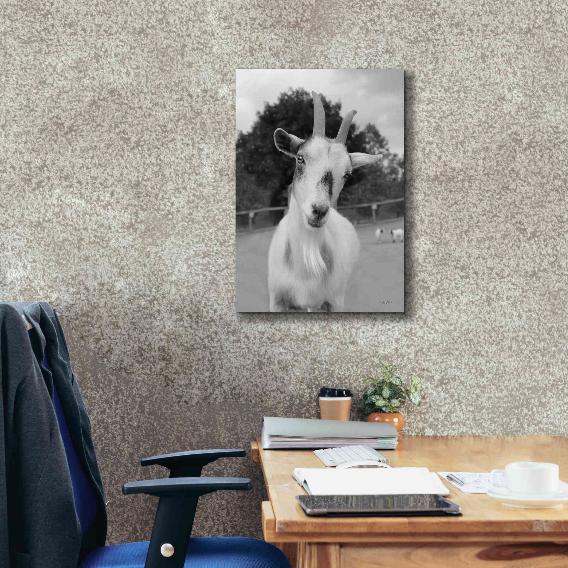 'Lake Tobias Goat II' by Lori Deiter, Canvas Wall Art,18 x 26