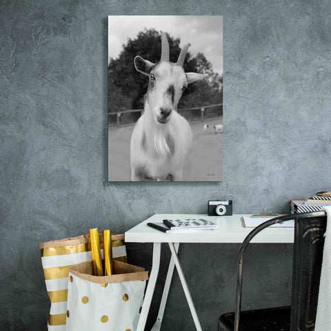 Image of 'Lake Tobias Goat II' by Lori Deiter, Canvas Wall Art,18 x 26