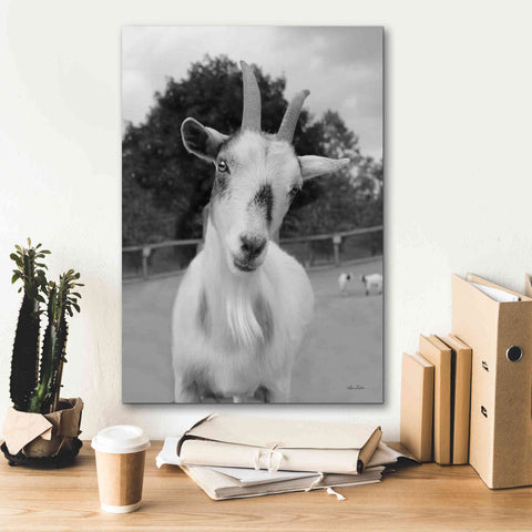 Image of 'Lake Tobias Goat II' by Lori Deiter, Canvas Wall Art,18 x 26