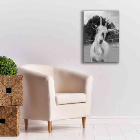 Image of 'Lake Tobias Goat II' by Lori Deiter, Canvas Wall Art,18 x 26