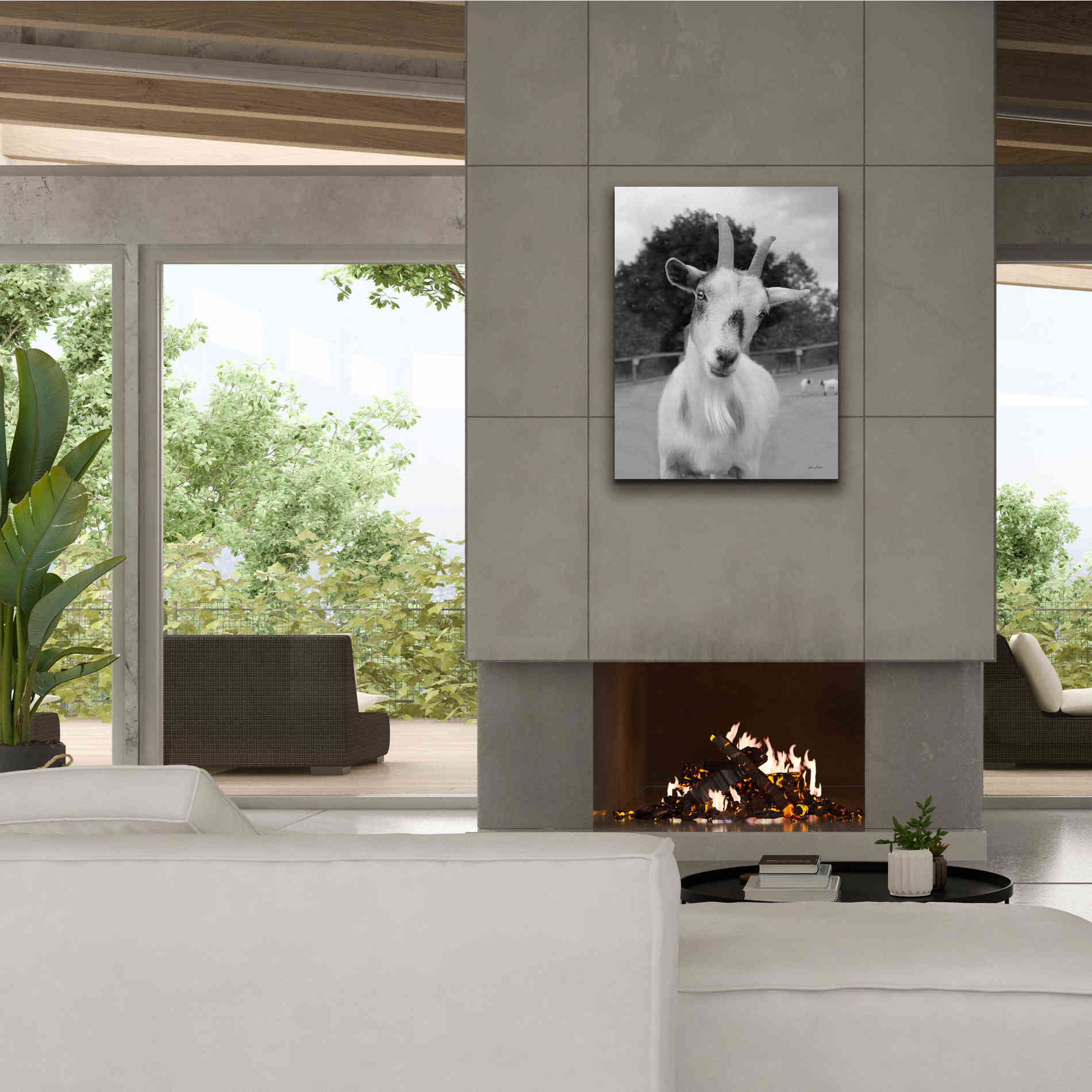 'Lake Tobias Goat II' by Lori Deiter, Canvas Wall Art,26 x 34