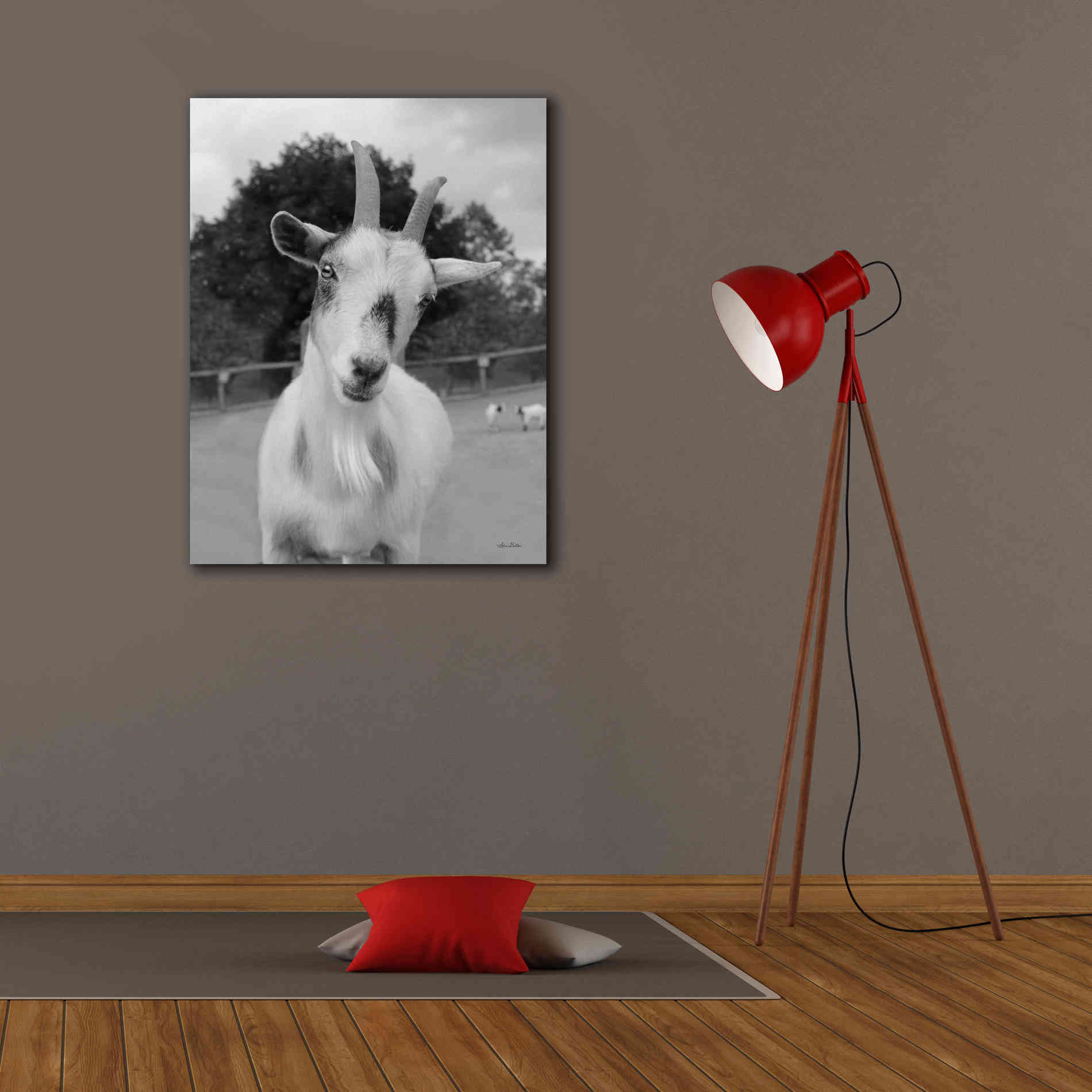 'Lake Tobias Goat II' by Lori Deiter, Canvas Wall Art,26 x 34