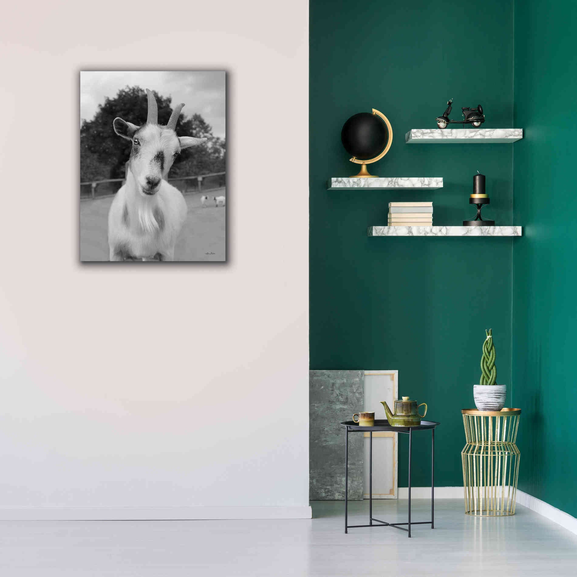 'Lake Tobias Goat II' by Lori Deiter, Canvas Wall Art,26 x 34