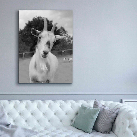 Image of 'Lake Tobias Goat II' by Lori Deiter, Canvas Wall Art,40 x 54