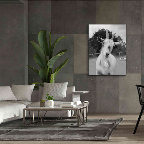 Image of 'Lake Tobias Goat II' by Lori Deiter, Canvas Wall Art,40 x 54